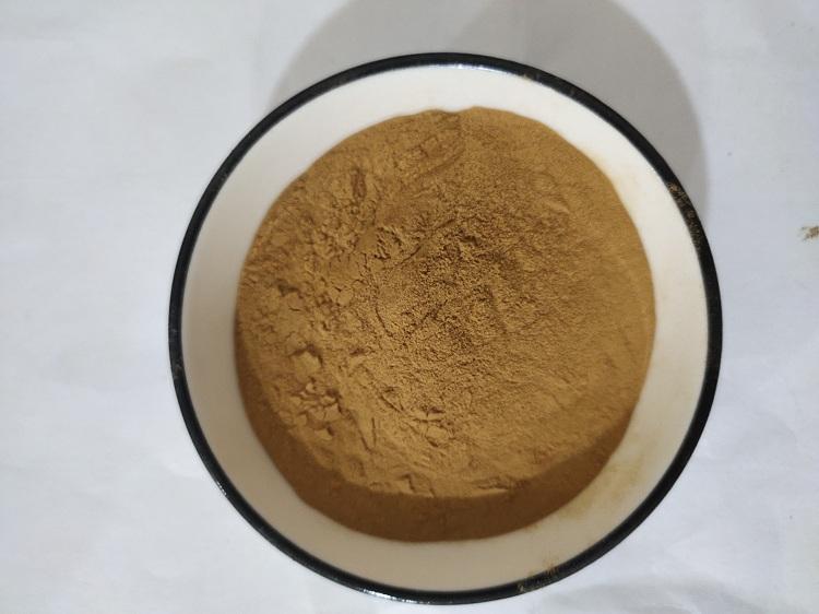 稀签草.jpg 稀签草.jpg