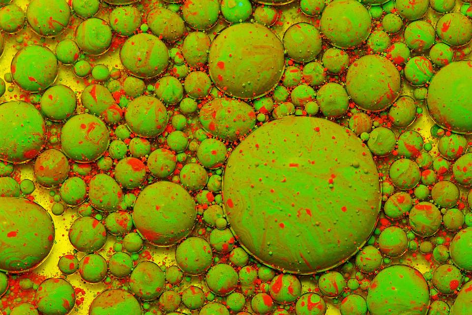 143B人骨肉瘤细胞