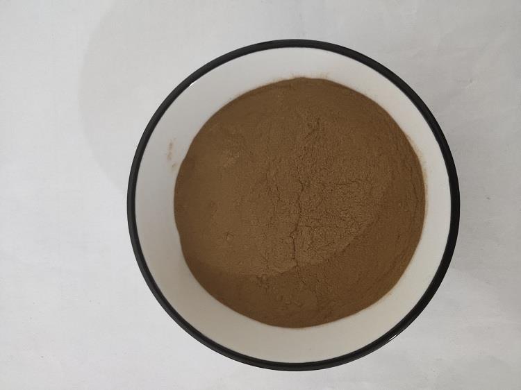 穿心莲.jpg 穿心莲.jpg