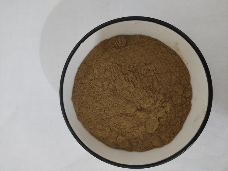 千里光.jpg 千里光.jpg