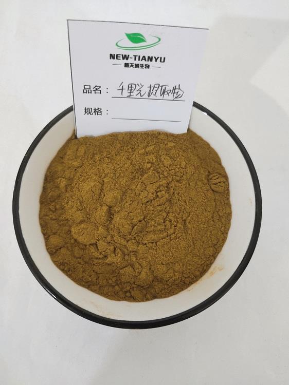 千里光提取物.jpg 千里光提取物.jpg