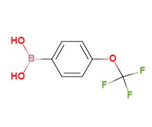 4-三氟甲氧基苯硼酸