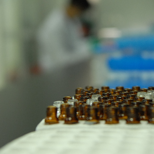 猫外周血单个核细胞PBMC