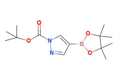 1-Boc-吡唑-4-硼酸频哪醇酯