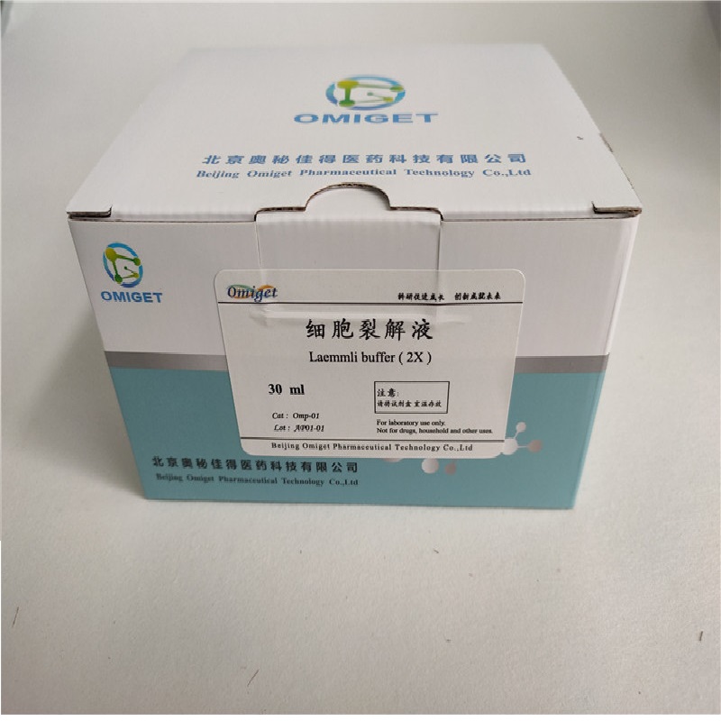 细胞裂解液Laemmli Buffer（2×）