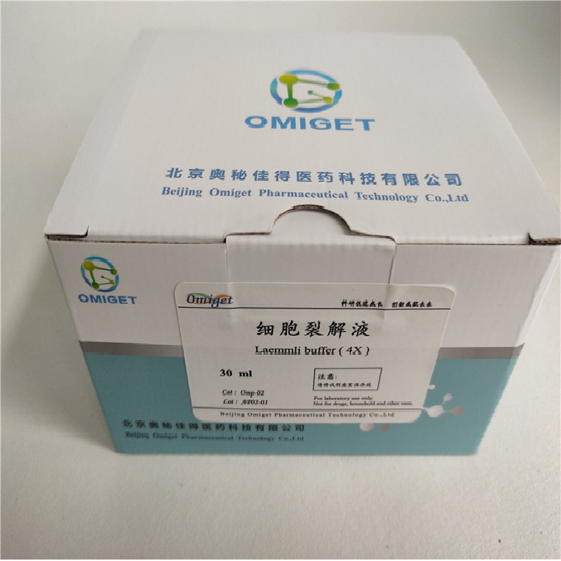 细胞裂解液Laemmli Buffer（4×）