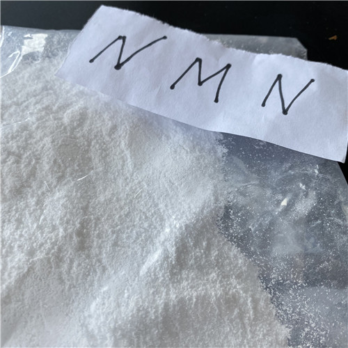 烟酰胺单核苷酸