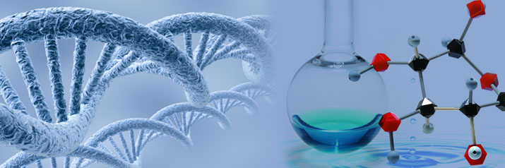 鼠抗异硫氰酸荧光素单克隆抗体，FITC 抗体