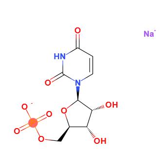 5’-尿苷酸二钠