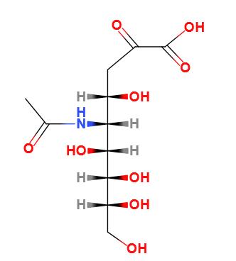 N-乙酰神经氨酸
