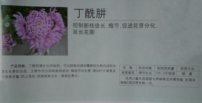 丁酰肼简介.jpg 丁酰肼简介.jpg