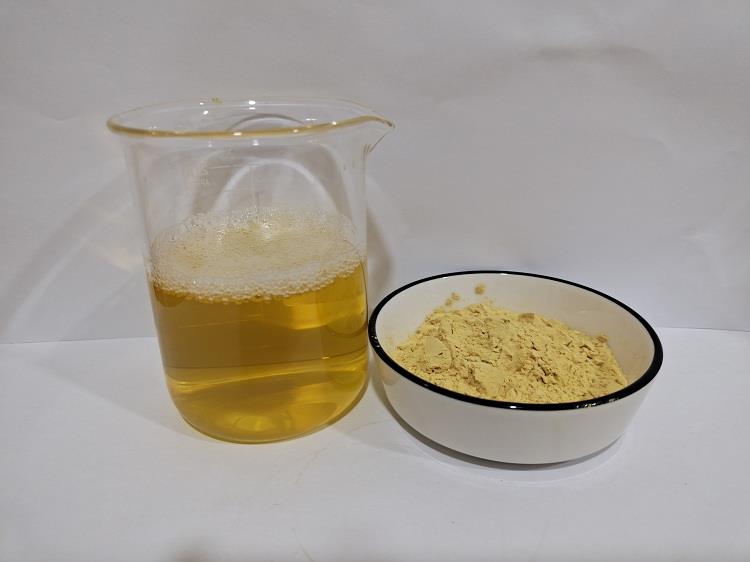 西洋参提取物,皂甙80%5.jpg 西洋参提取物,皂甙80%5.jpg