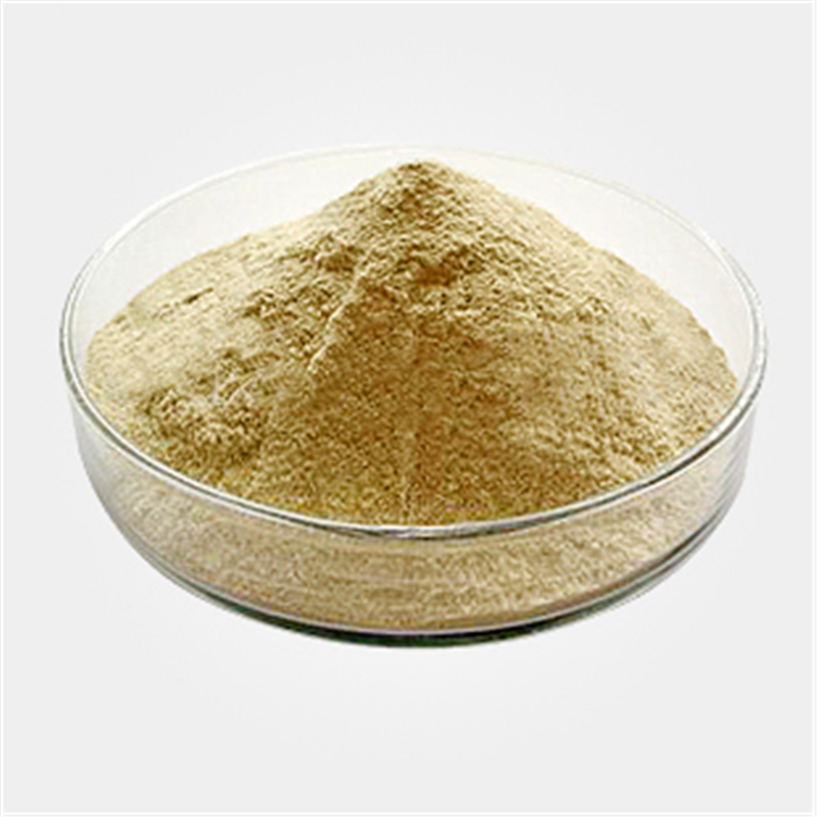 羧甲基葡聚糖_生产厂家