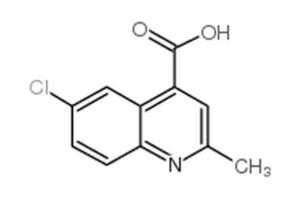 6-氯-2-甲基喹啉-4-羧酸