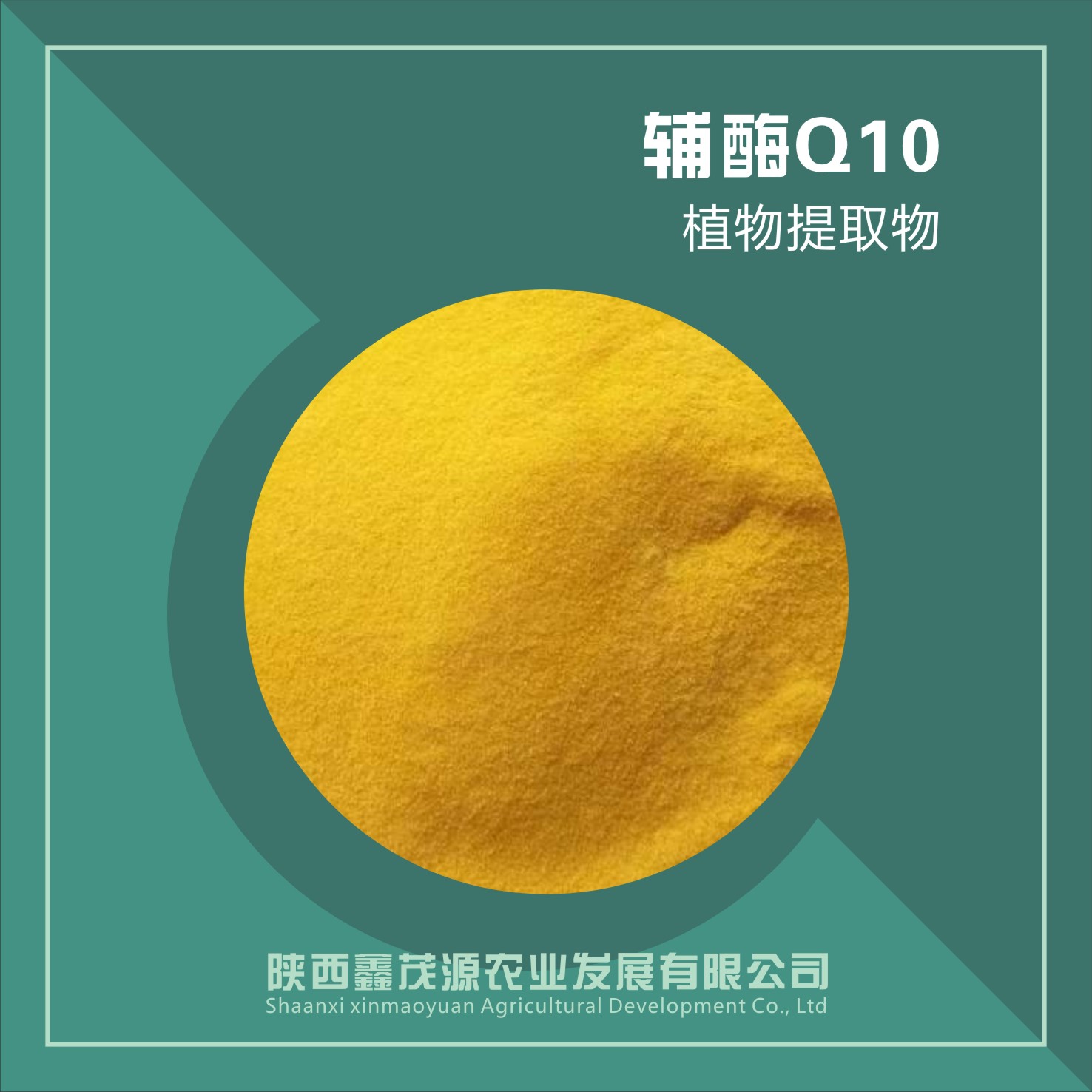 辅酶Q10