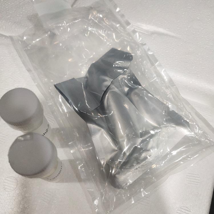 蓝光染料标记磷脂聚乙二醇