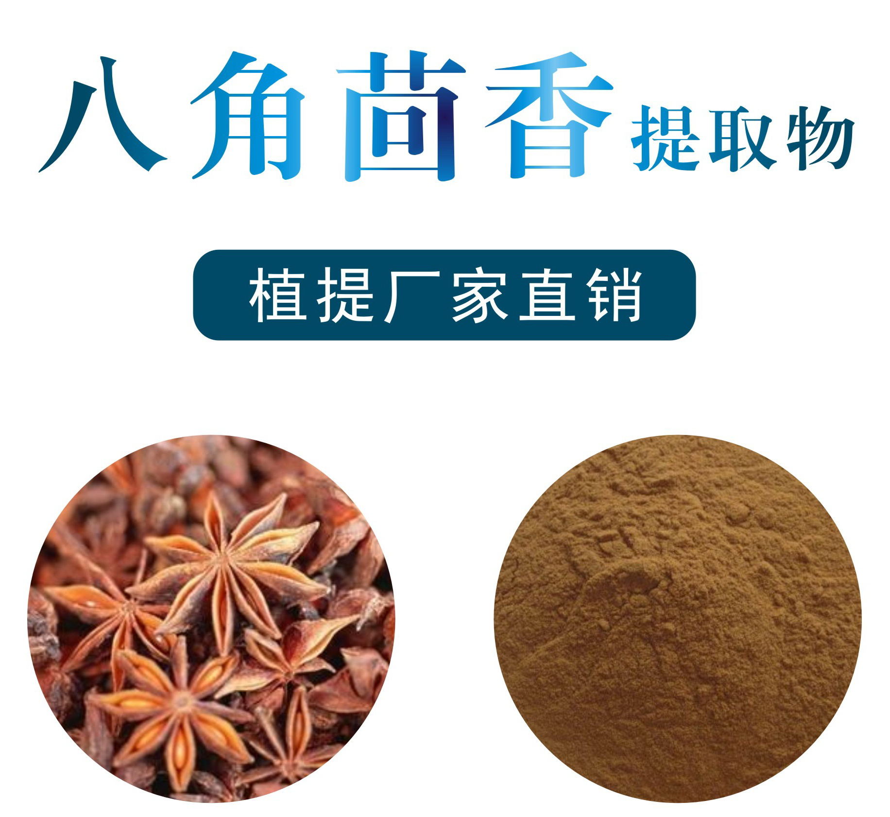 八角茴香提取物