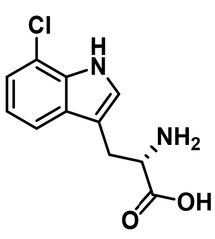 7-氯-L-色氨酸