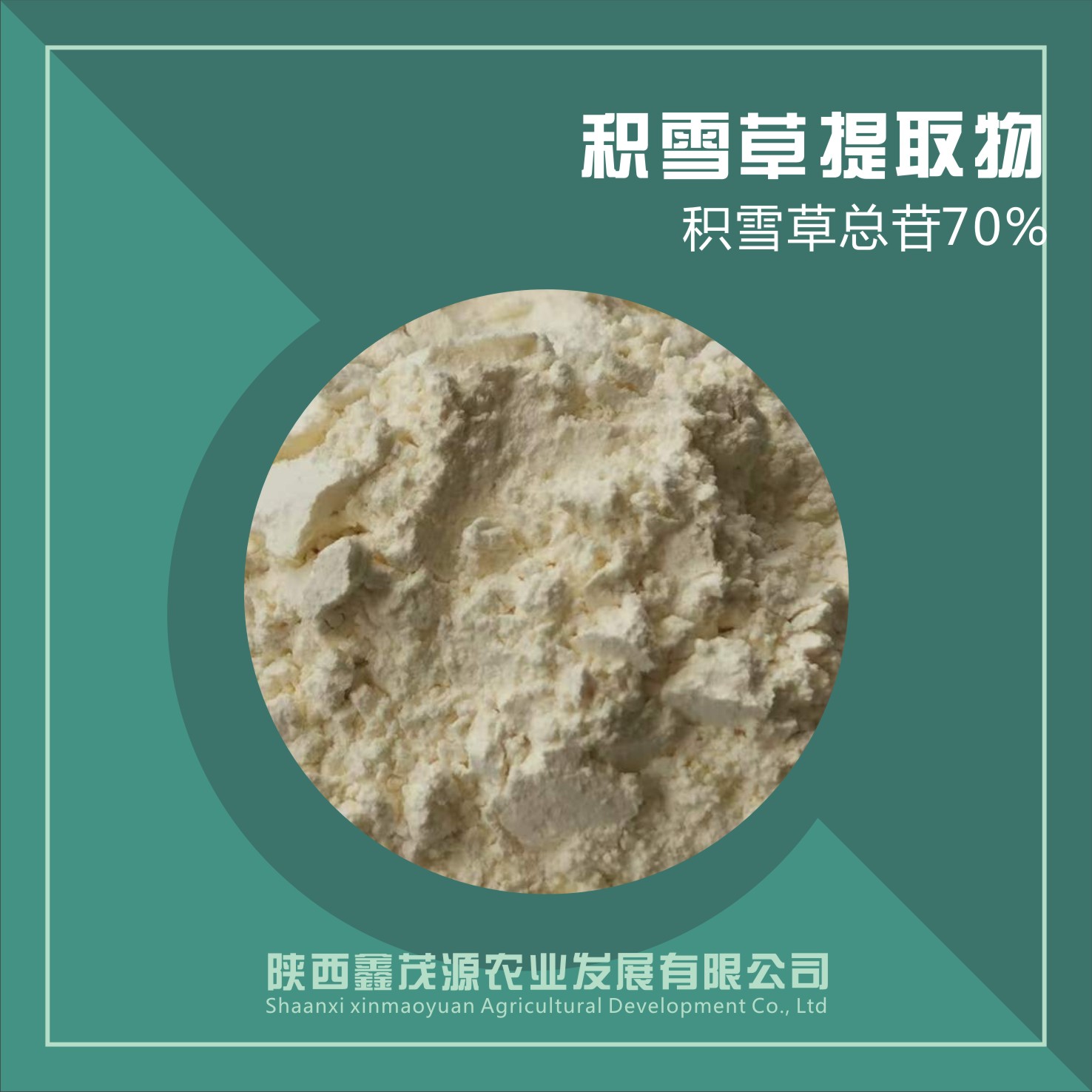 积雪草提取物/积雪草总苷