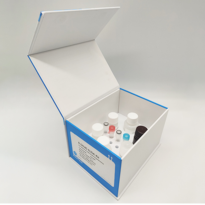 人肾透明细胞腺癌细胞