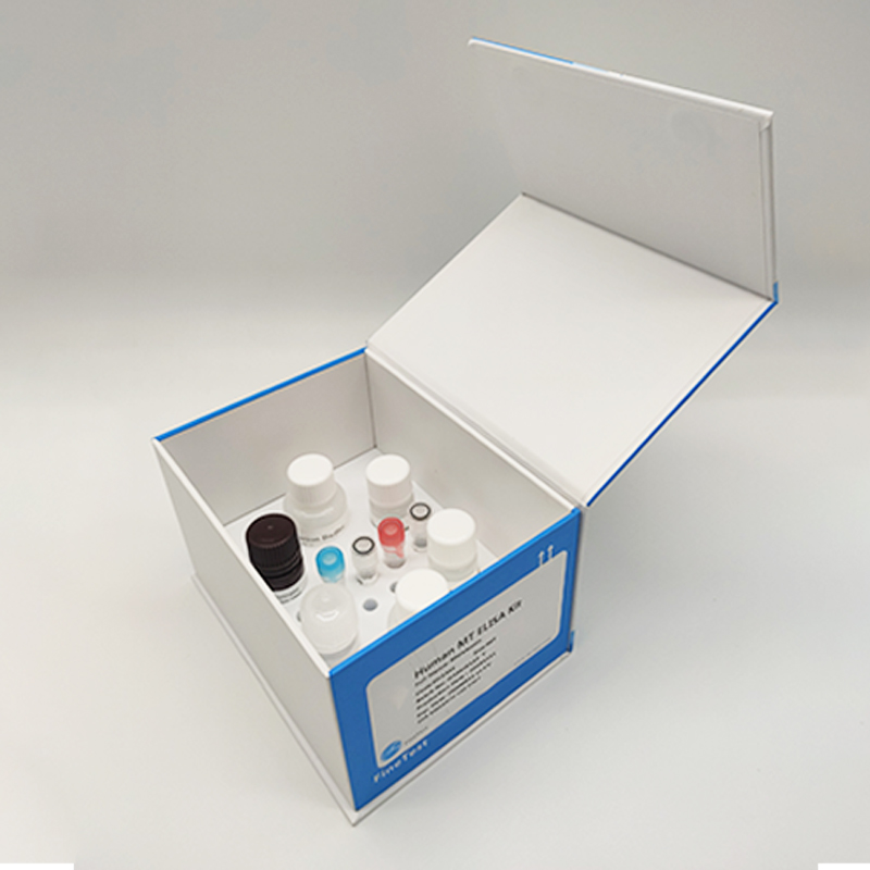 人肾透明细胞腺癌细胞