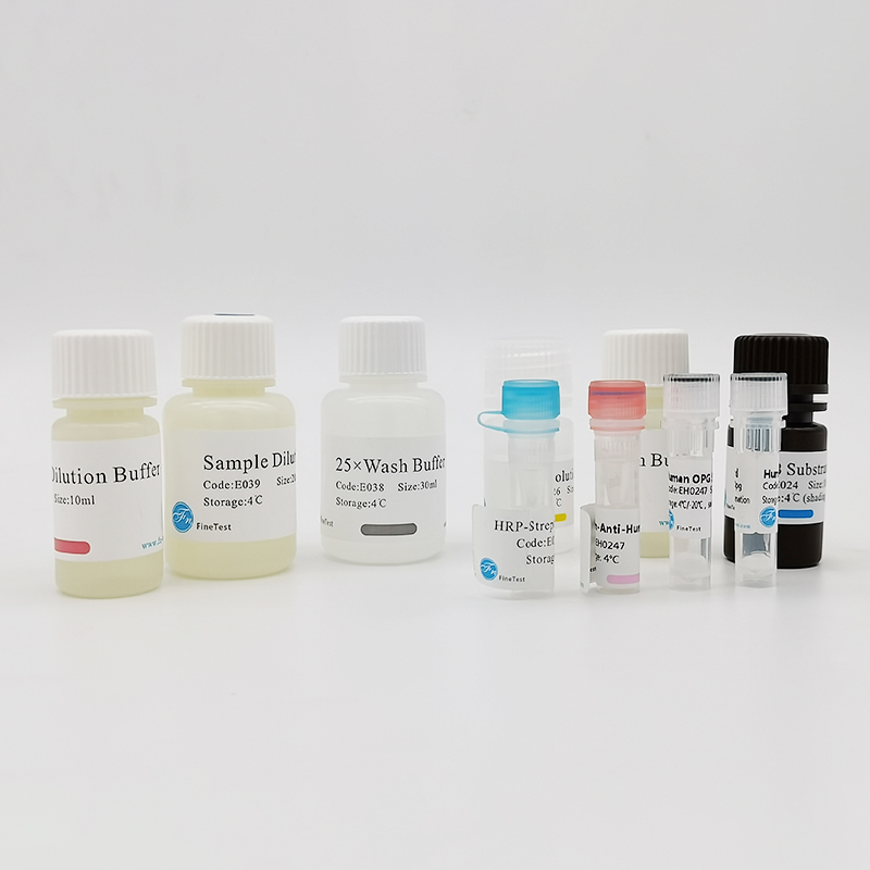 ATDC5（小鼠成软骨细胞）