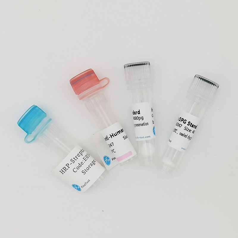 ATDC5（小鼠成软骨细胞）