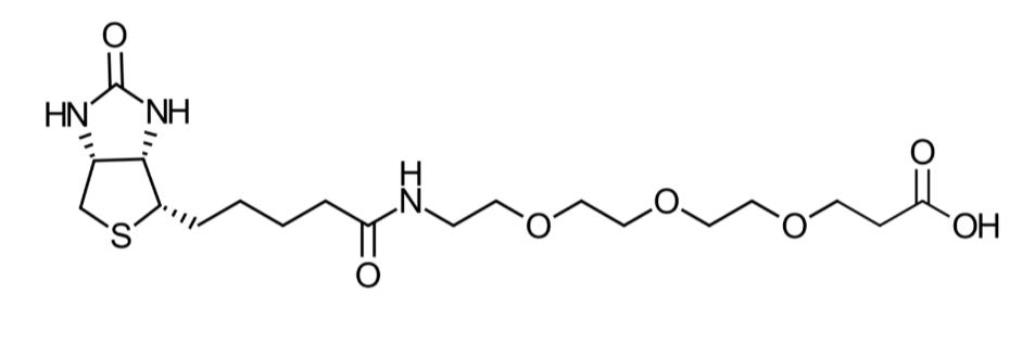 252881-76-8.png 252881-76-8.png