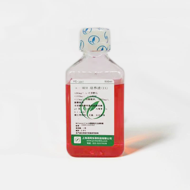 α- MEM培养基（1.5G/L碳酸氢钠）