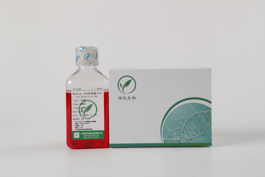 M199培养基