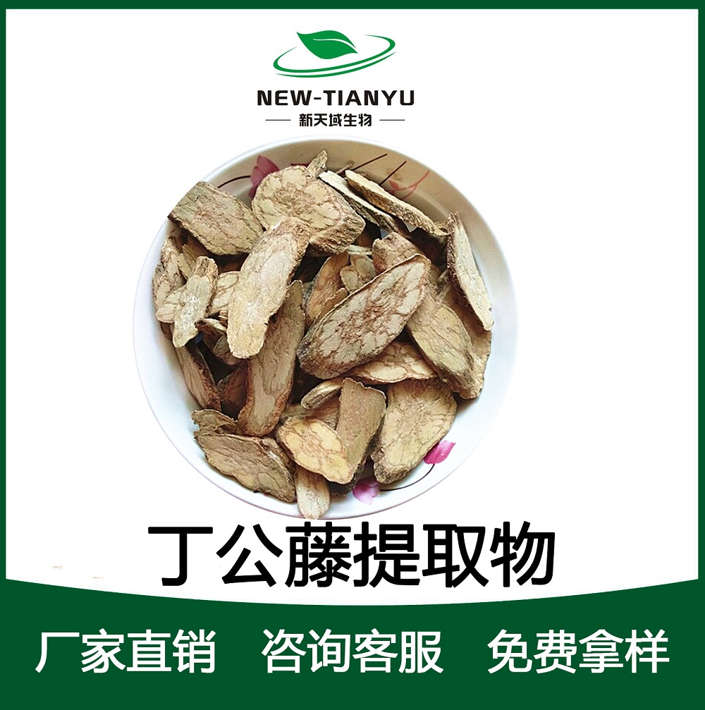 大量供应优质丁公藤提取物 厂家直销