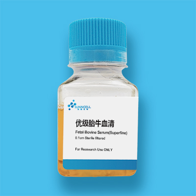 优级胎牛血清