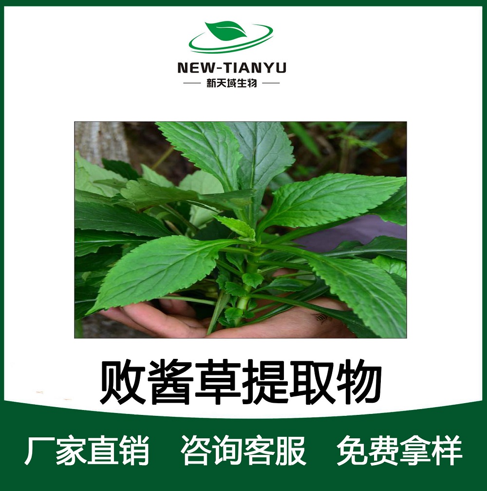 厂家直供优质败酱草提取物