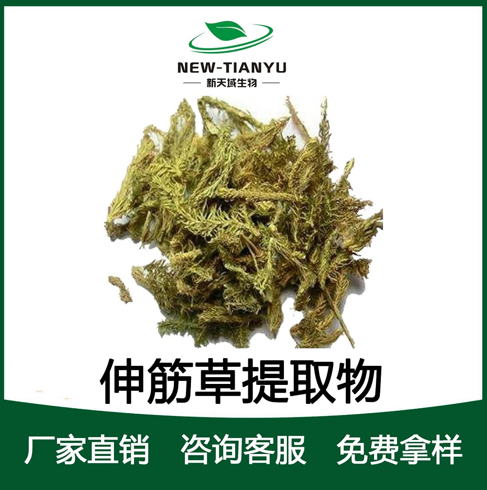 伸筋草提取物/植提厂家直销