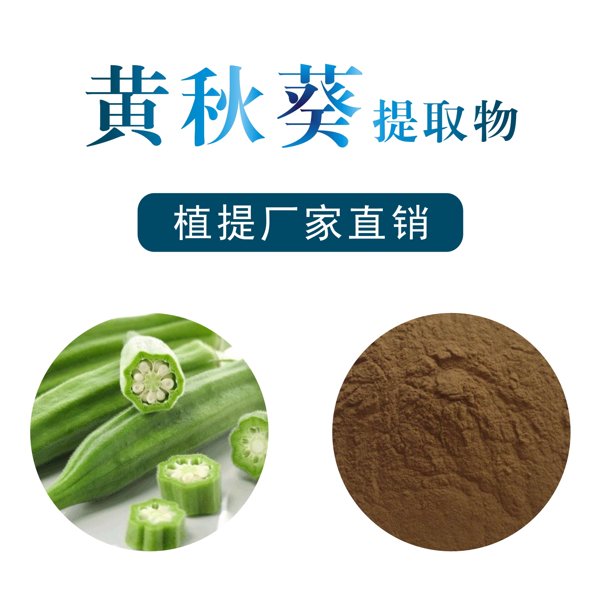 黄秋葵提取物