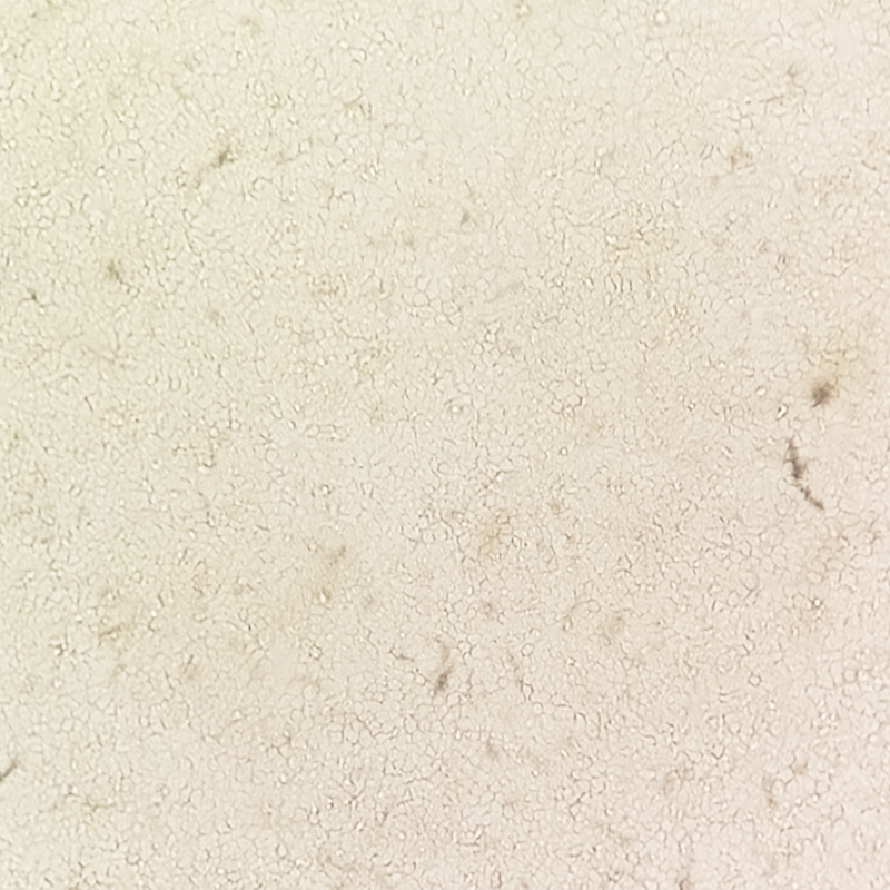 CAL-27（人舌鳞癌细胞）