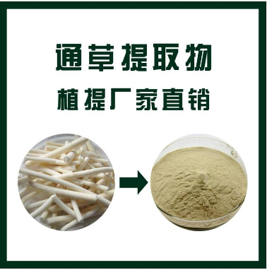通草提取物