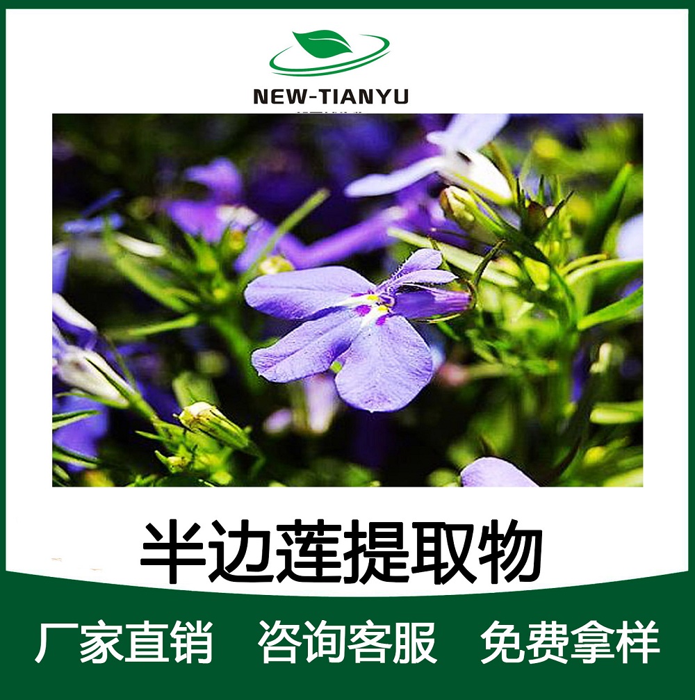 半边莲提取物/植物提取物/厂家直销