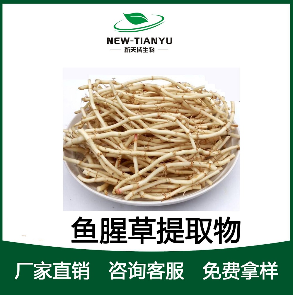 大量提供优质鱼腥草提取物10：1