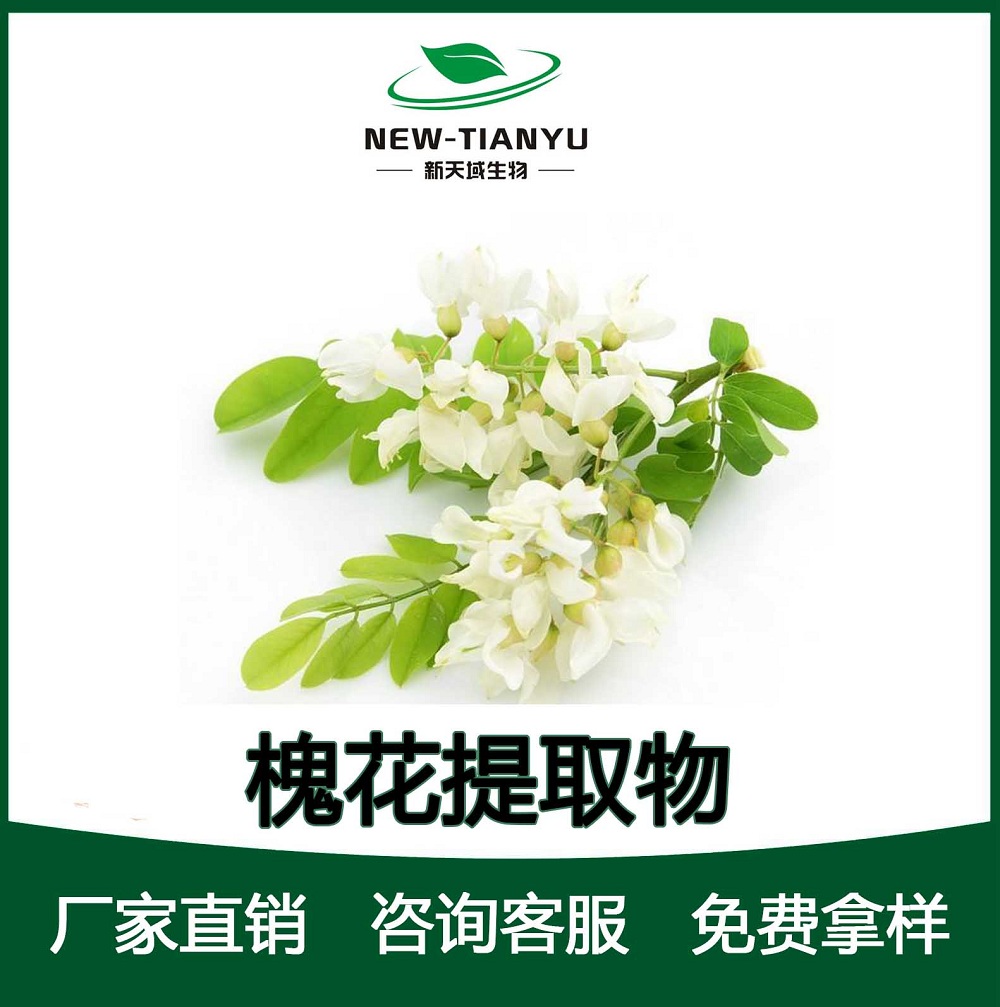 槐花提取物 