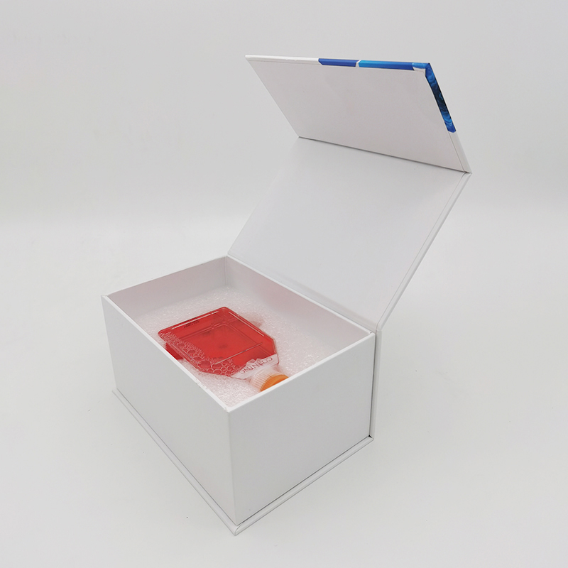 MA-104（猴胎肾细胞）