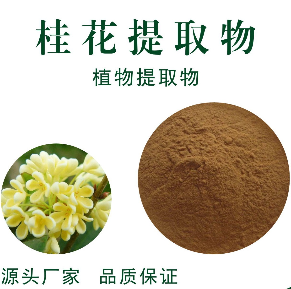 桂花提取物