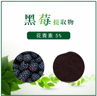 黑莓提取物