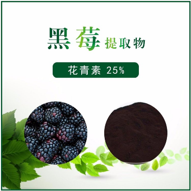 黑莓提取物
