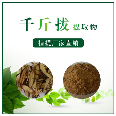 千斤拔提取物