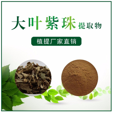 大叶紫珠提取物