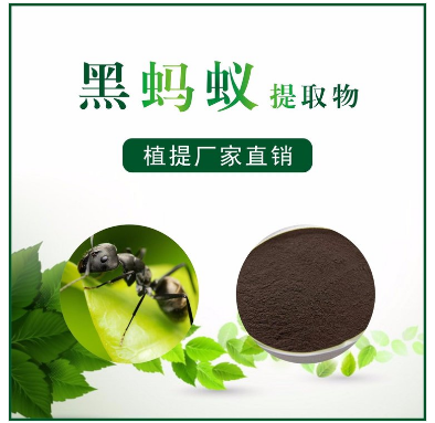 黑蚂蚁提取物