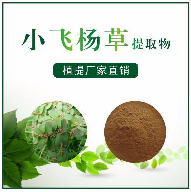 小飞扬草提取物