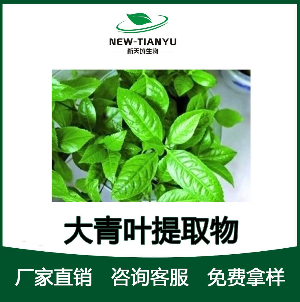 大青叶提取物