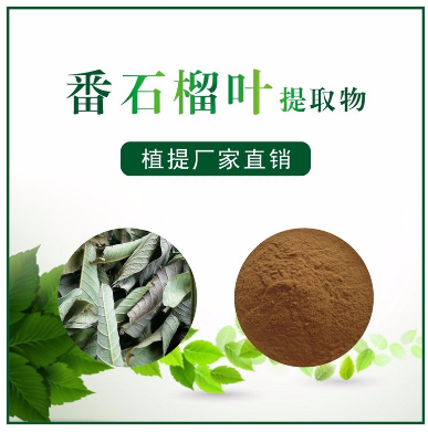 番石榴叶提取物